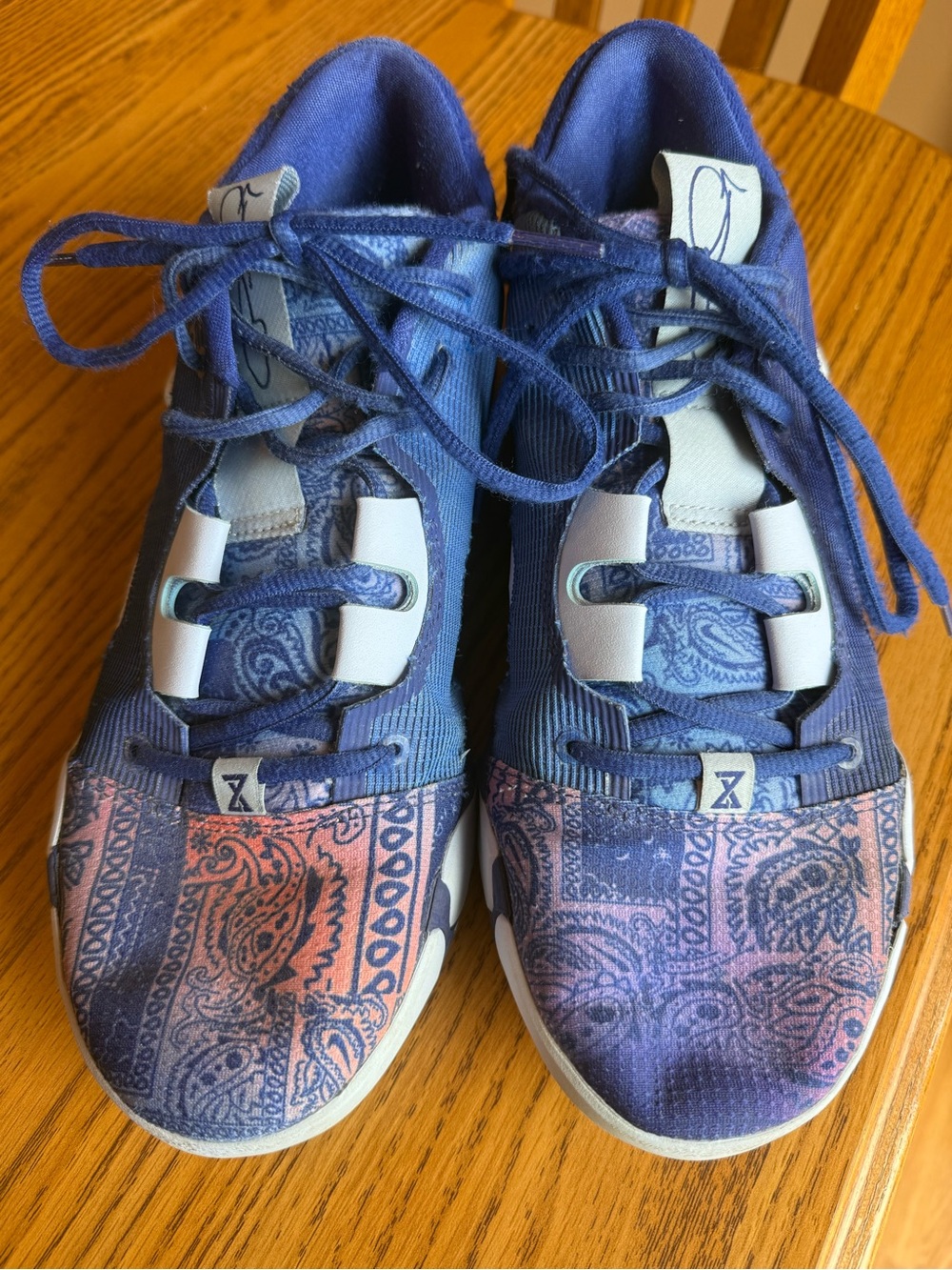 Nike PG 6 Blue Paisley Size 9.5